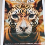 Klub Neli